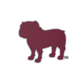 Budz | Mississippi State Bulldogs