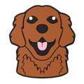 Budz | Retriever